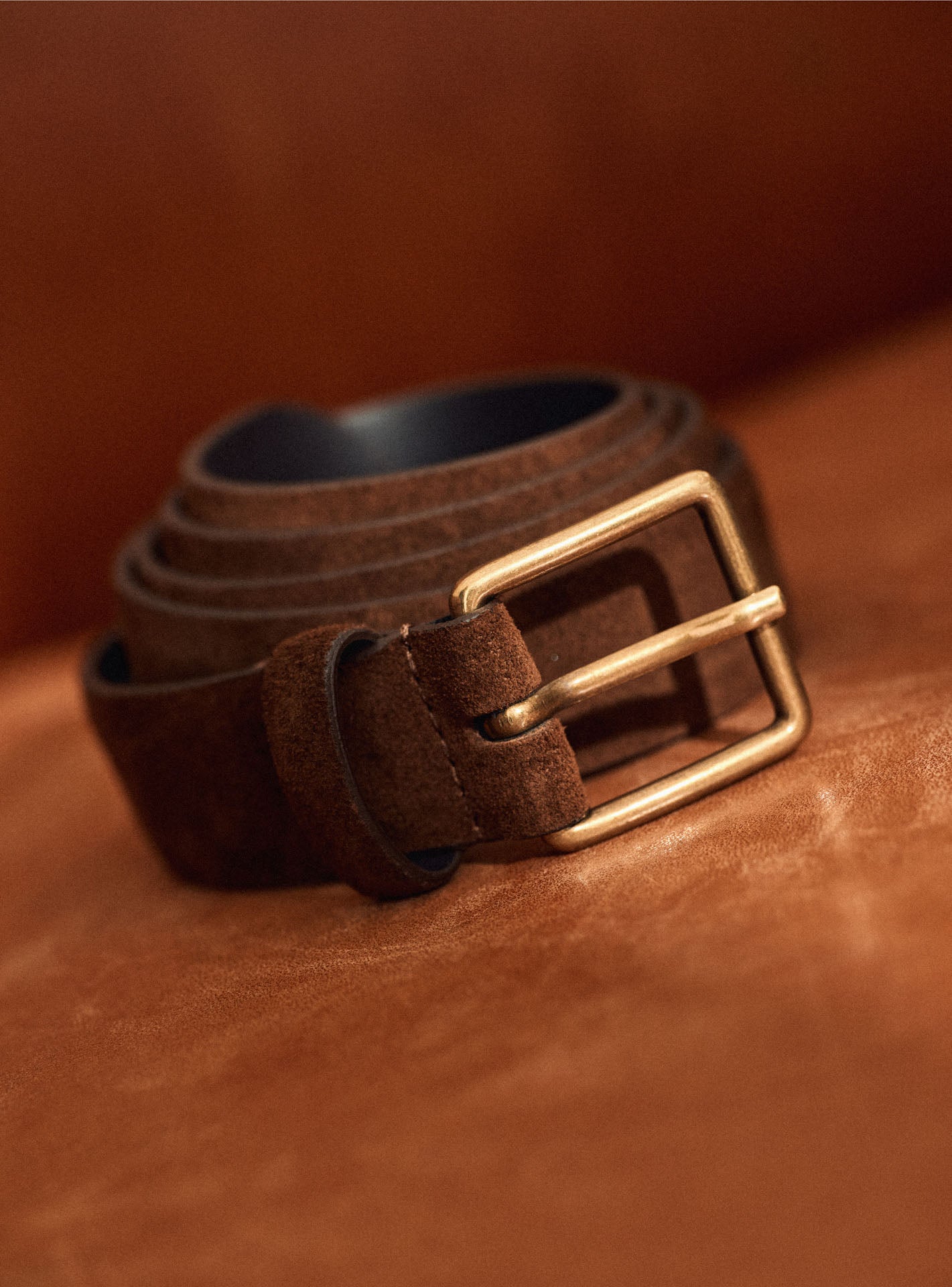 Ceinture Ted Marron-1